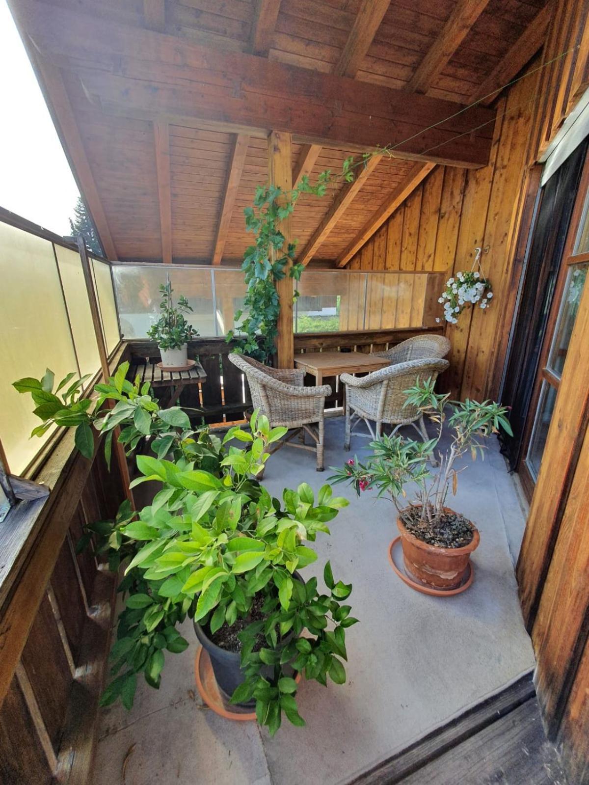 My Sweet Home 绍尔拉赫 外观 照片